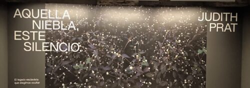 Instalación de vinilos y gigantografías para la exposición de Judith Prat, “Aquella niebla, este silencio”